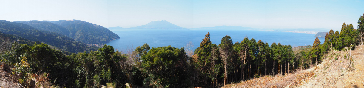 錦江湾の眺め